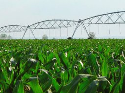 How High Efficiency Irrigation System in Pakistan can help us in saving water for our future generations?