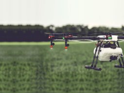 Innovative Agricultural Practices That Are Changing The Whole World