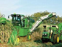Mechanized Sugarcane Production In Pakistan | FDP Pakistan