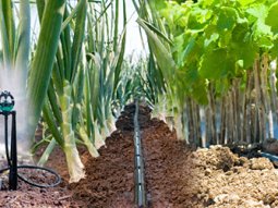 The Importance Of Surface & Sub Surface Monitoring System in Pakistan