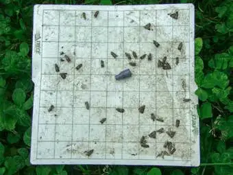 Automated pest monitoring trap used to detect and track insect activity in fields