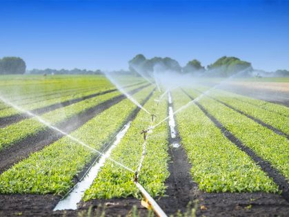 Irrigation system deployment showing pipes and sprinkler setup in a farm field