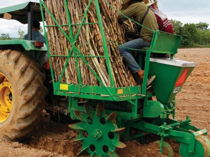 Mechanized sugarcane planter machine planting sugarcane rows in a Pakistani field