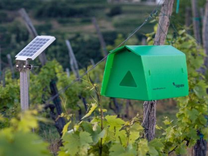 Trapview automated pest monitoring trap installed in a cereal crop field in Pakistan