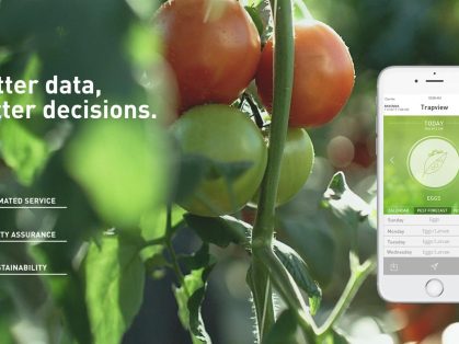 Trapview automated pest monitoring device installed in a field in Pakistan