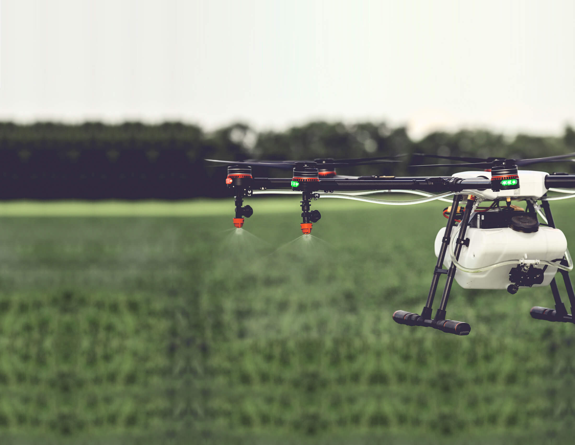 Innovative Agricultural Practices That Are Changing The Whole World