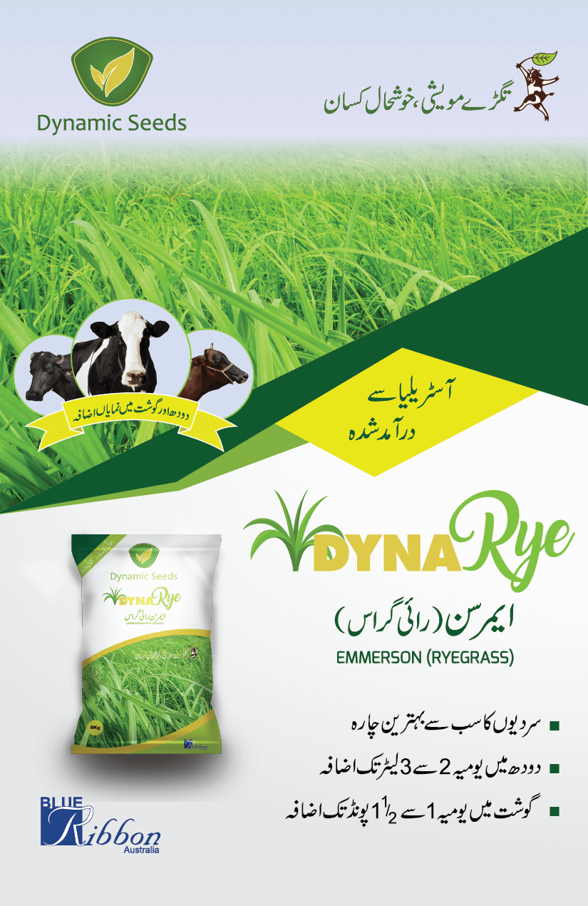 Livestock Farming In Pakistan – Dairy Farming In Pakistan