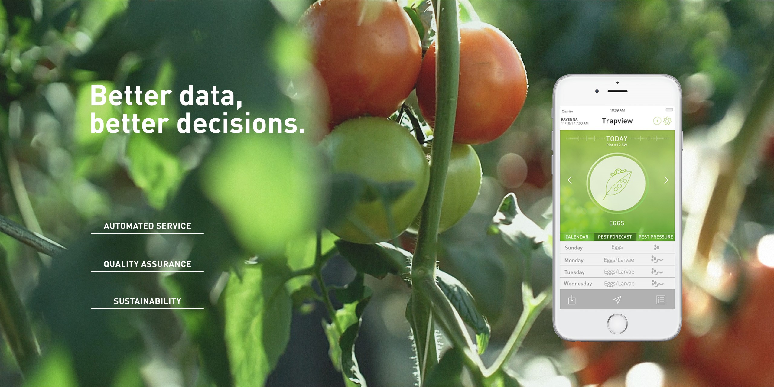 Trapview: All You Need To Know About Automated Pest Monitoring System In Pakistan